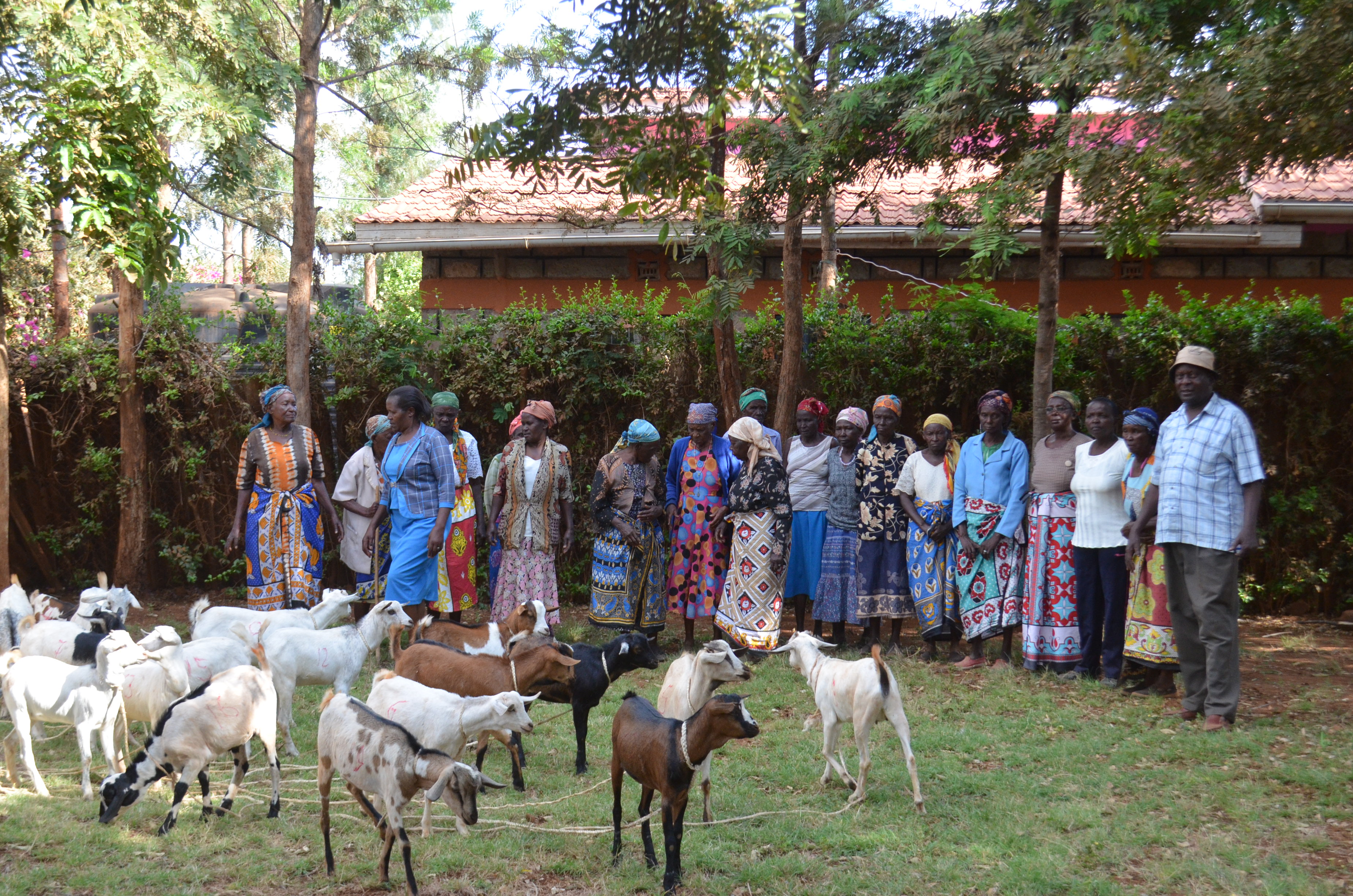 Syondo Women's Group receives milk goats from the project