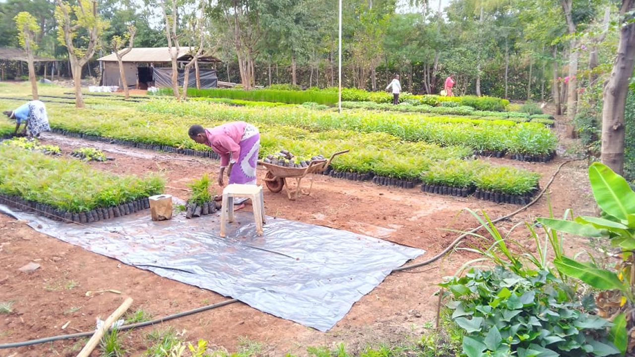 Ongoing works at Tree Nursery